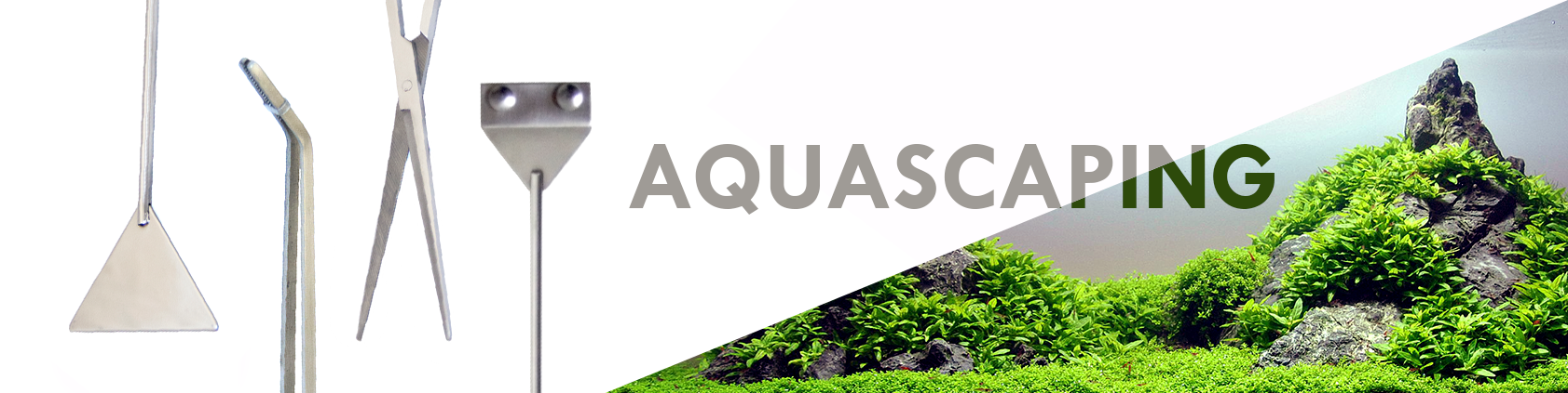 Aquascaping